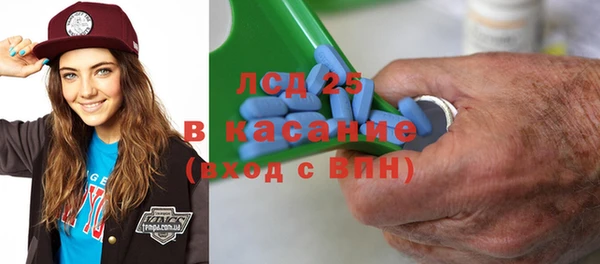 хмурый Верея