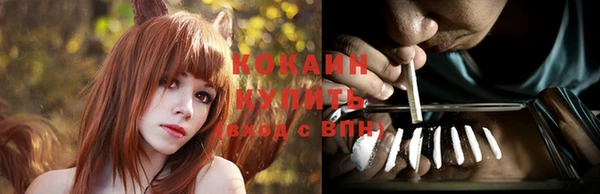 хмурый Верея