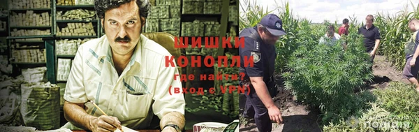 хмурый Верея