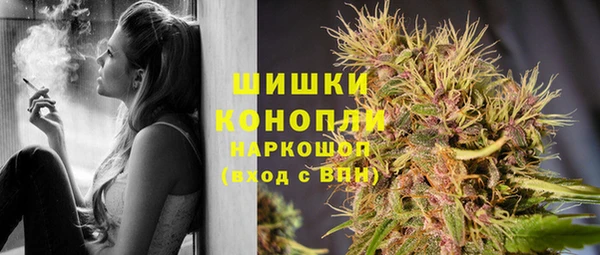 хмурый Верея
