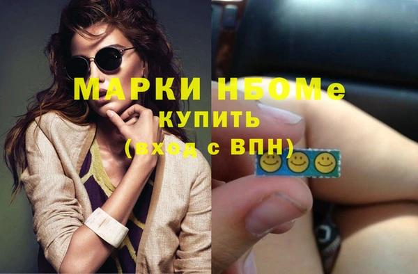 хмурый Верея