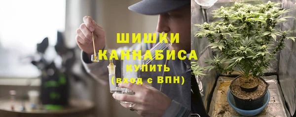 хмурый Верея