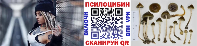 Псилоцибиновые грибы Cubensis  Купить  Красноперекопск 
